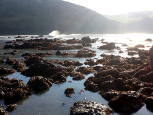 Sun effects on the water at Hope Cove. Devon