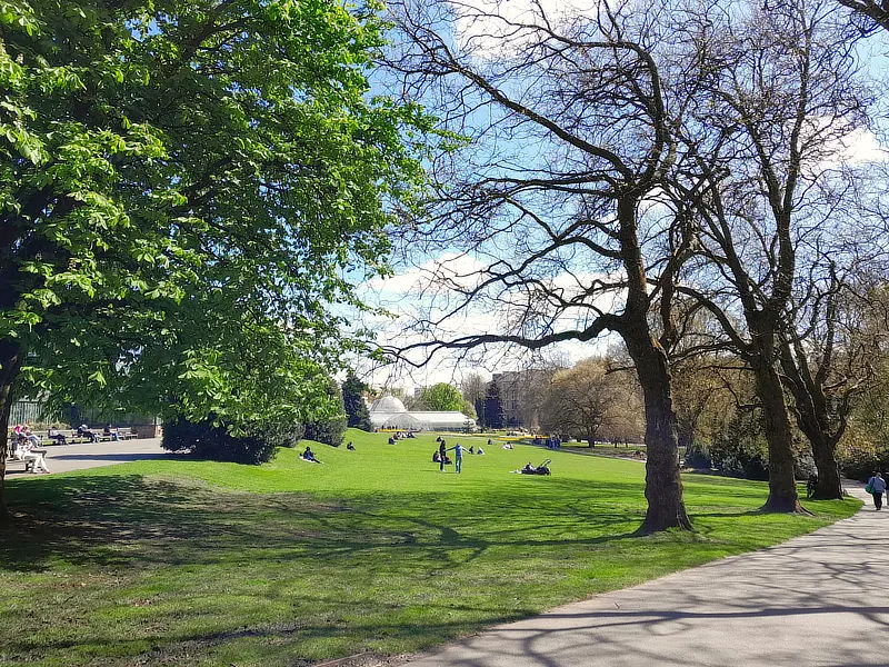 Glasgow Botanic Gardens