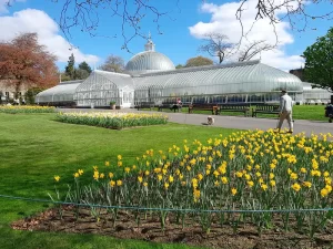 The greenhouses at Glasgow Botanic Gardens