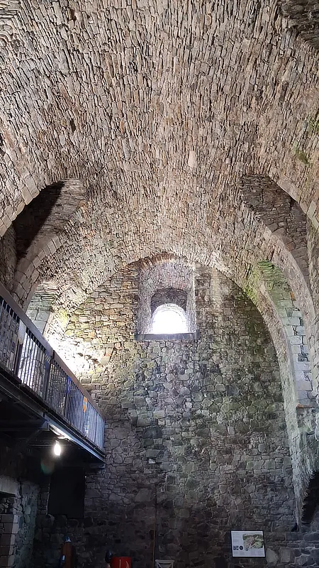 Dundonald - Barrel vault (1) Great hall ceiling of Dundonald Castle